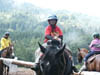PICT3073