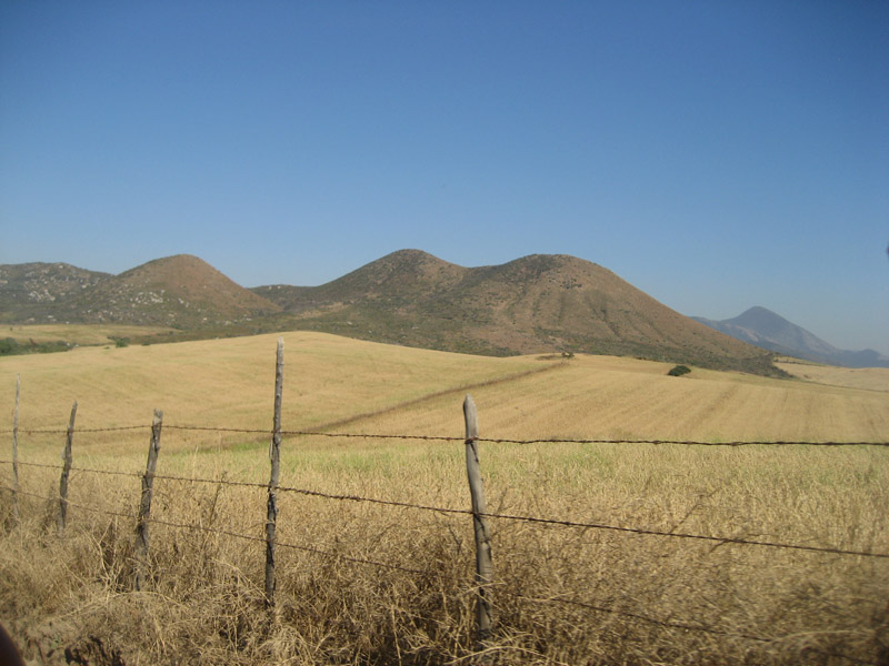 Ensenada_2008_42