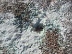 Ensenada_2008_43