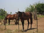 Ensenada_2008_67